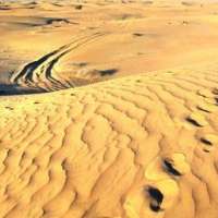 Urlaub buchen online - die besten Anbieter